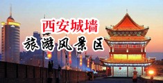 熟女让插中国陕西-西安城墙旅游风景区